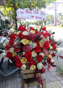 Sớm ngày thành công - BN1586