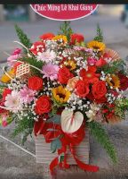 Chúc mừng lễ khai giảng  - BN1599