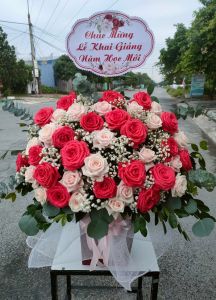 Chúc mừng lễ khai giảng - BN1603