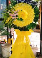 Cõi vĩnh hằng - HTL1544