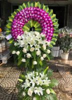 Thiên thu - HTL1560