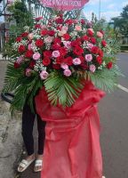 Sức sống - HKT1421