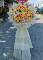 Thắng lợi mới - HKT1439