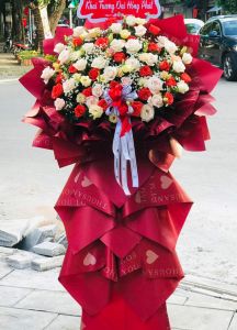 Chân trời mới - HKT1449